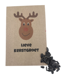 Lieve Kerstgroet (zonnebloemzaden)