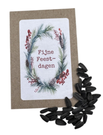 Fijne Feestdagen