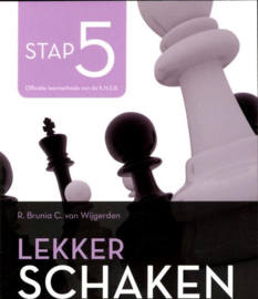 Lekker schaken stap 5 strategie/koningsaanval/eindspel