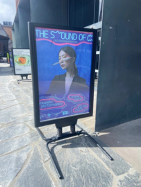 Posterbord Poster Plus