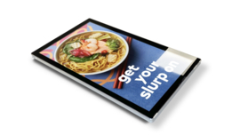 SLIMLINE Pro Advert Displays van 19 tot 55 inch