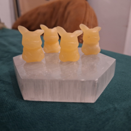 Pokemon Picachu