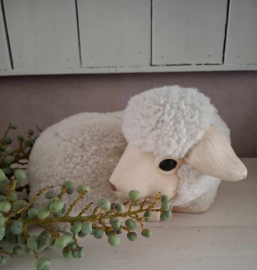 Schaap