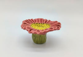 Bijenbloem klein - Roze
