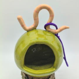 Voerhuis appelgroen met worm