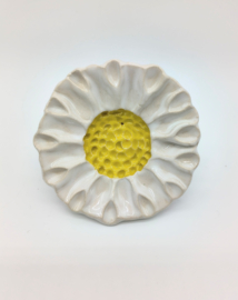 Bijenbloem klein - Wit