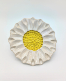 Bijenbloem middel - Wit