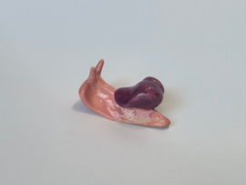 Kleine Slak - Roze/Paars