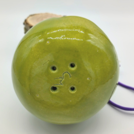 Voerhuis appelgroen met worm