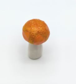 Paddenstoelen 