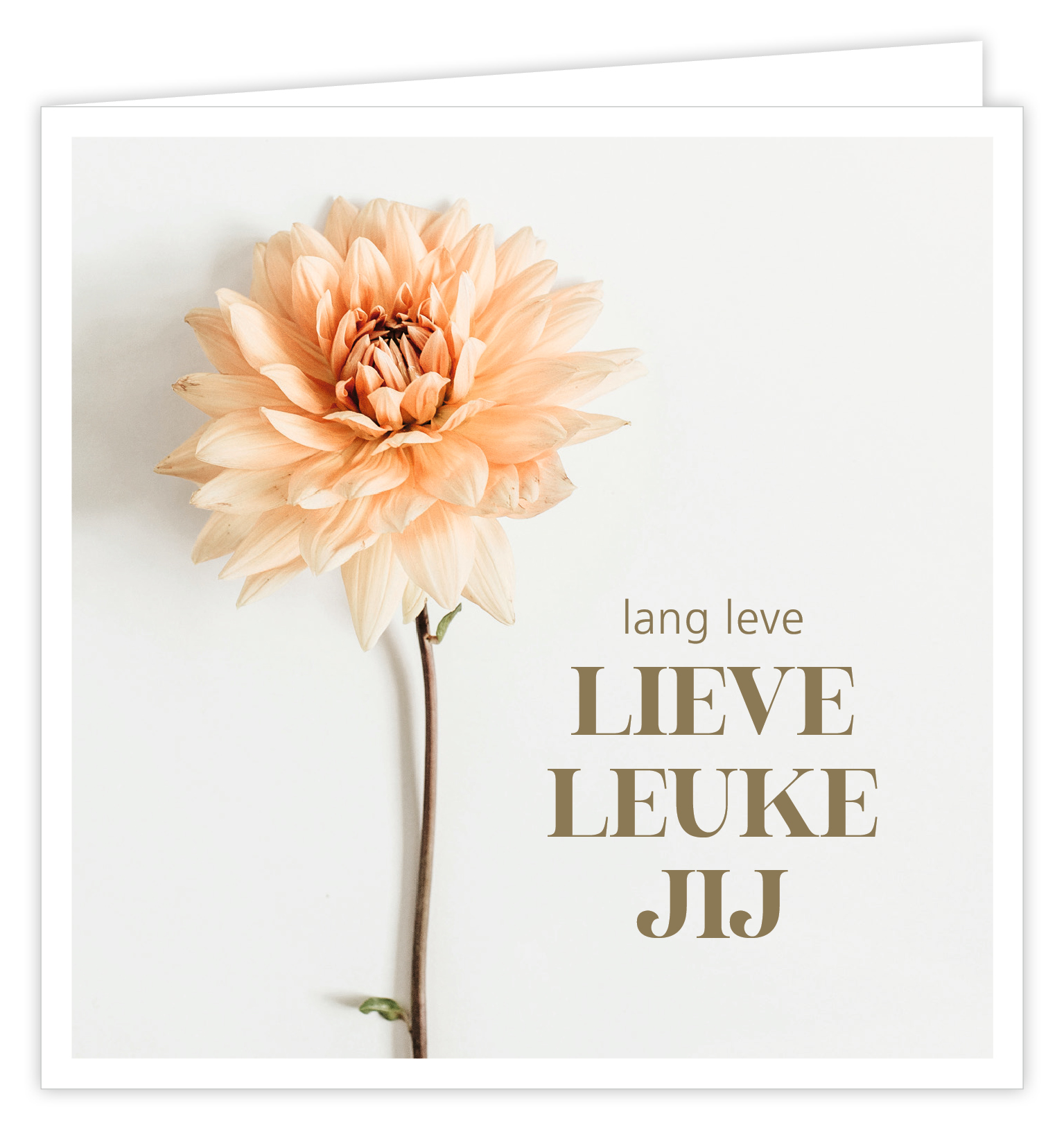 Lang leve lieve leuke jij