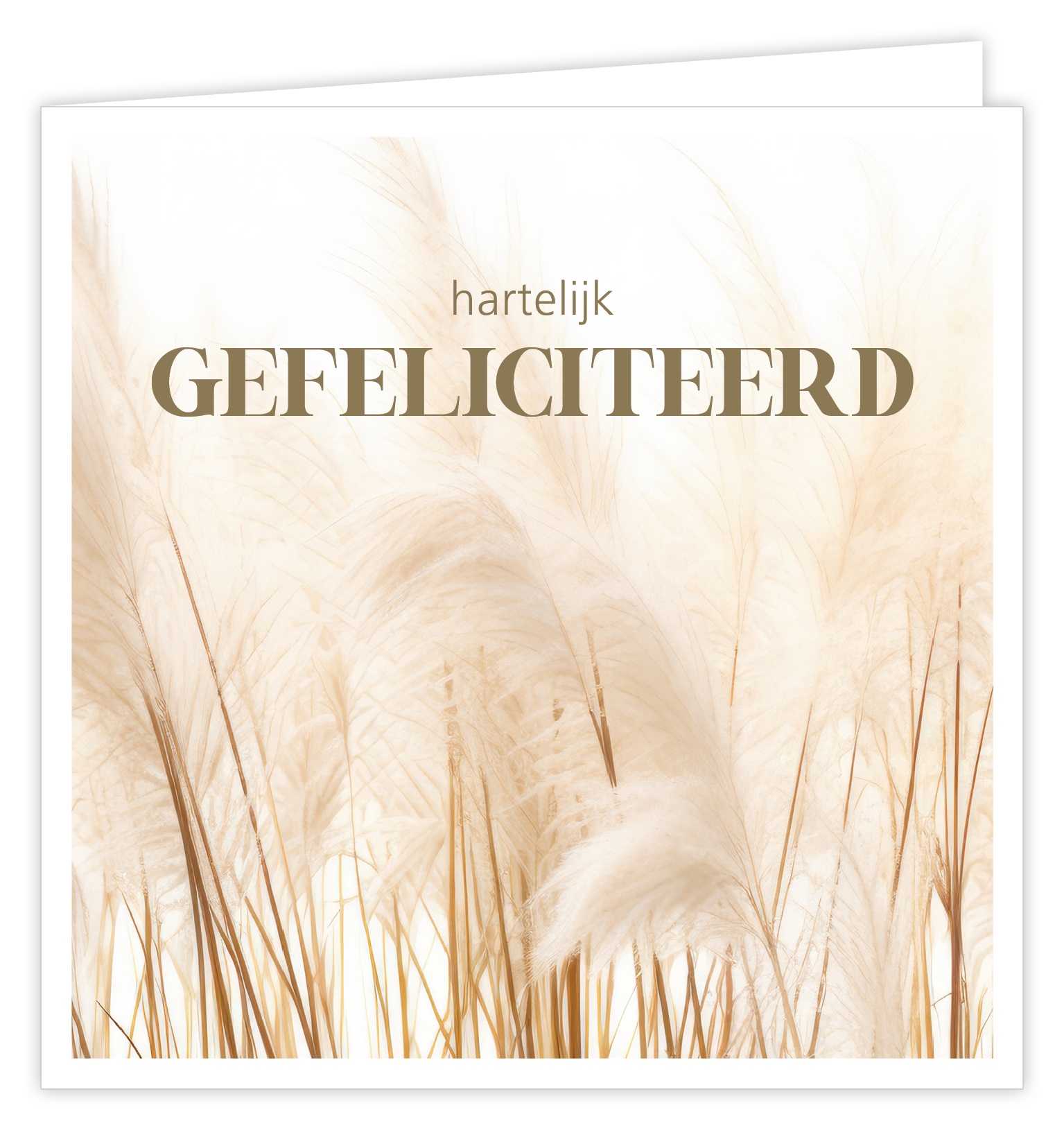 Hartelijk gefeliciteerd