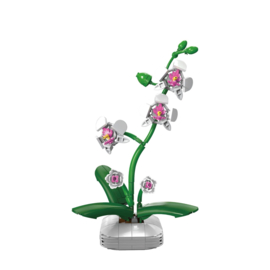 CaDA Orchidee in bloempot C59028W