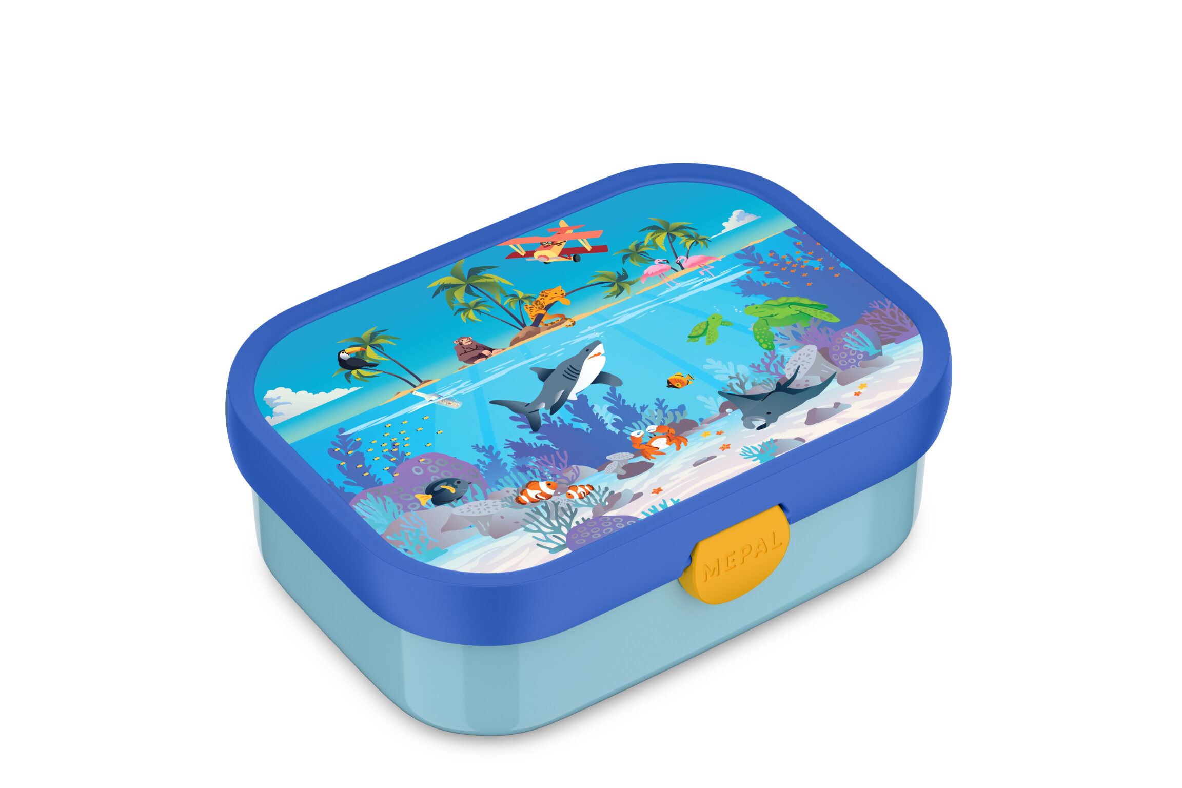 lunch box campus - tropical ocean