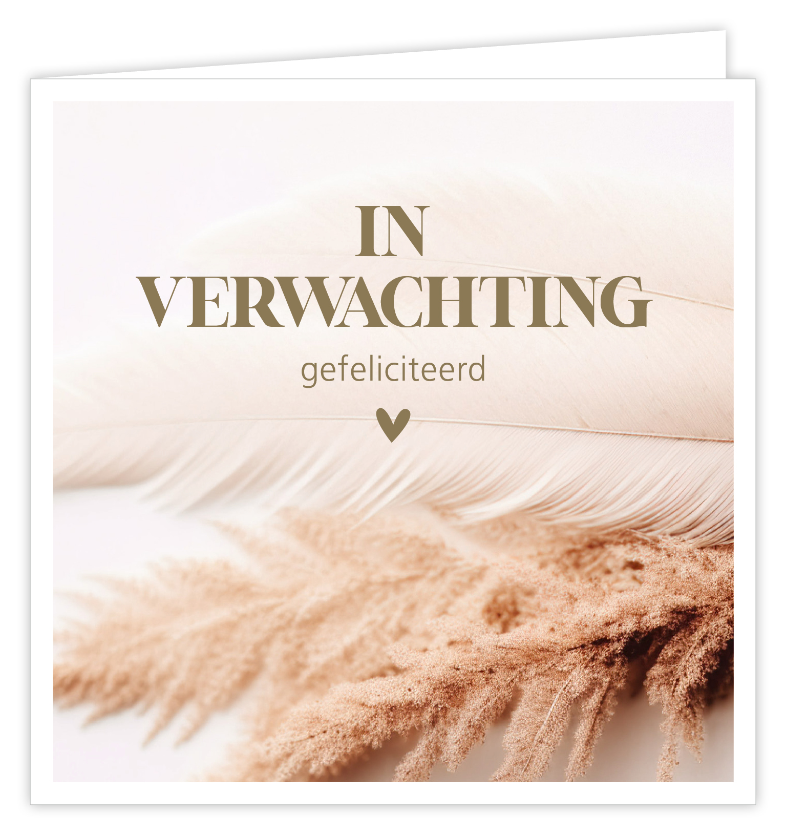 In verwachting gefeliciteerd