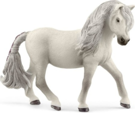 IJsland Pony Merrie