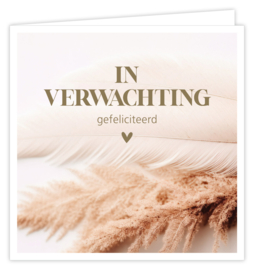 In verwachting gefeliciteerd