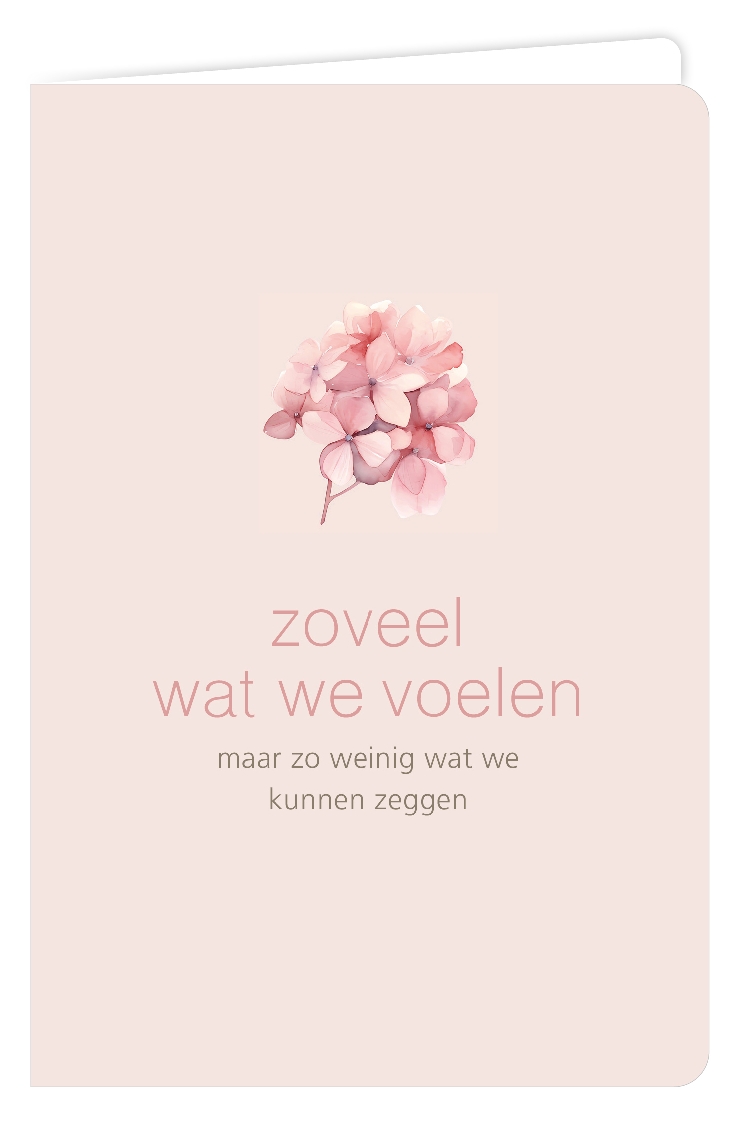 Zoveel wat we voelen maar zo weinig wat we kunnen zeggen