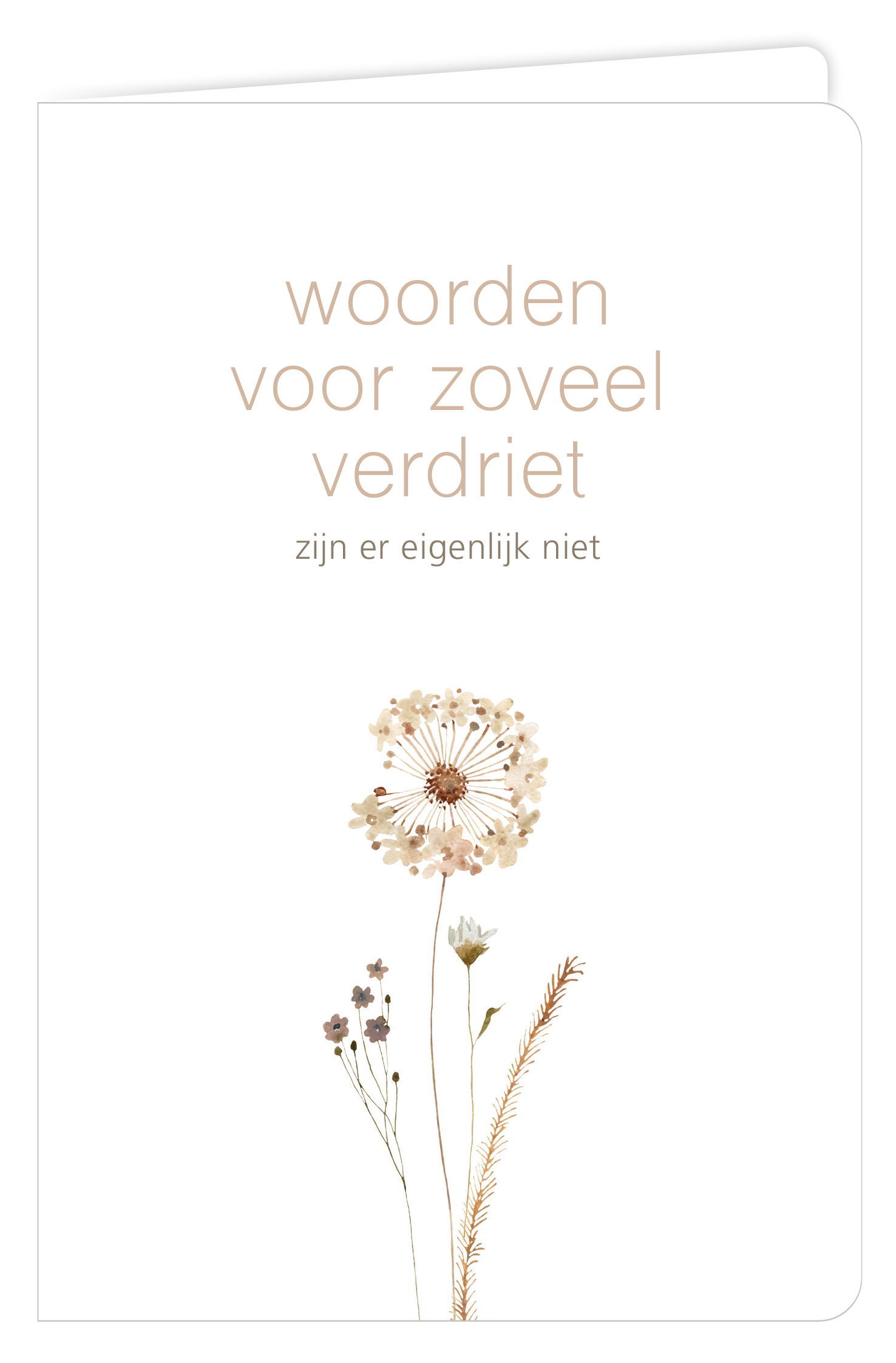 Woorden voor zoveel verdriet zijn er eigenlijk niet