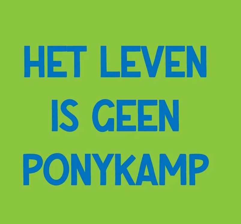 Tegeltje ponykamp