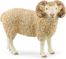 Ram