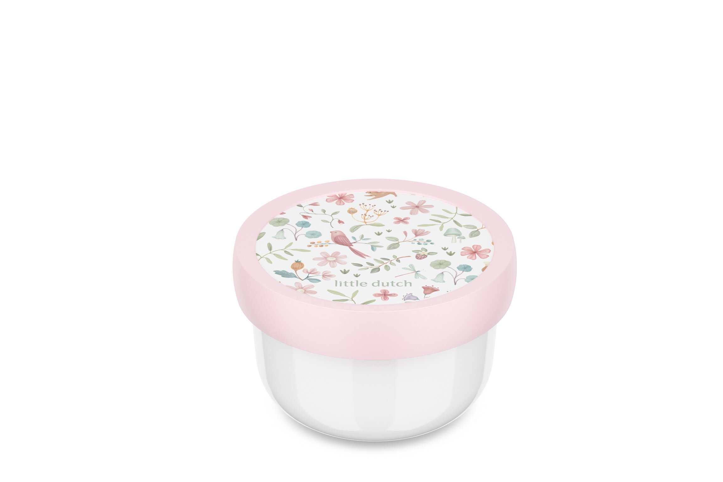 fruit box campus - fairy wonders