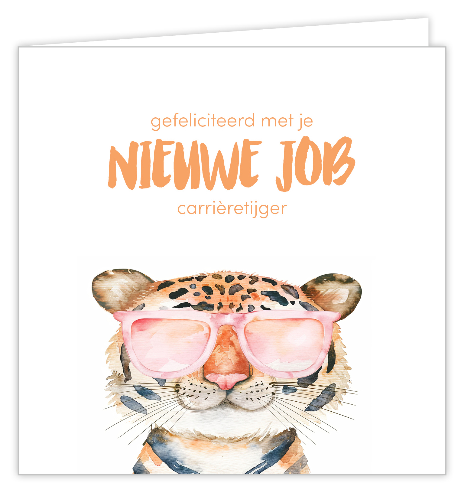 Gefeliciteerd met je nieuwe job carrièretijger