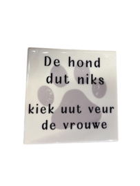 Tegeltje de hond dut niks