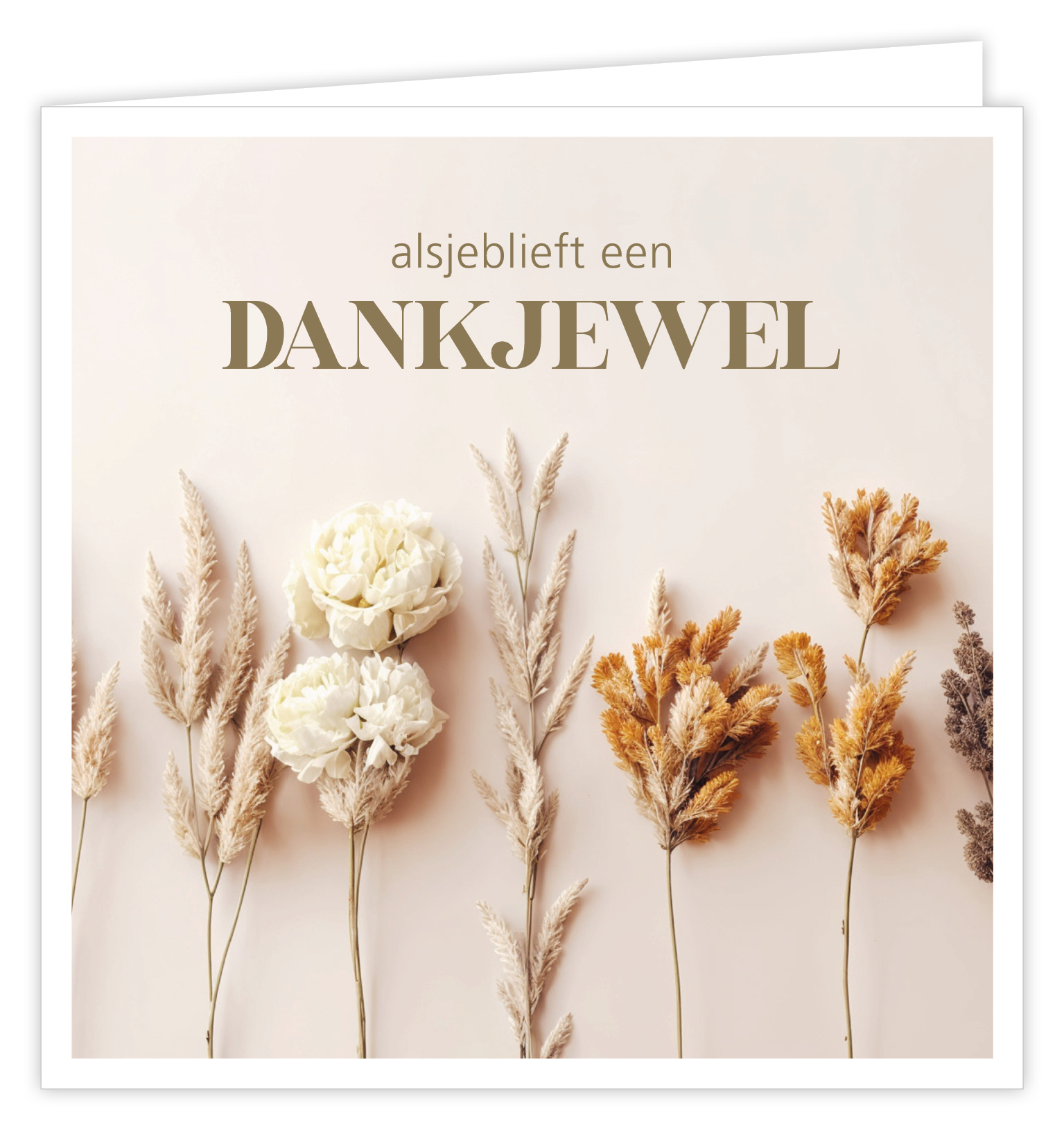 Alsjeblieft een dankjewel