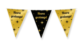 Classy Party flags foil - Geslaagd
