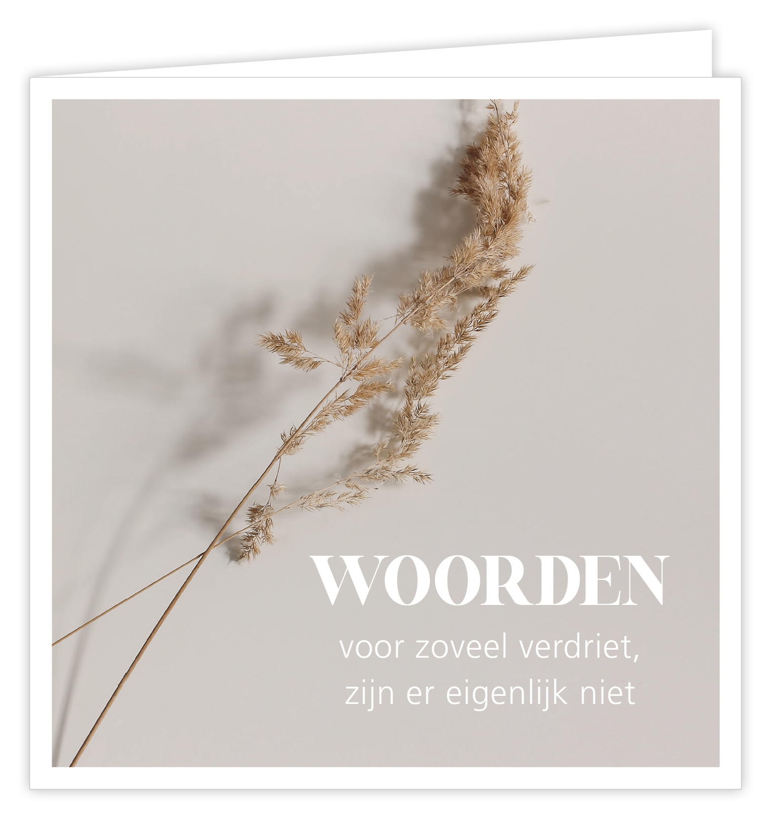 Woorden voor zoveel verdriet, zijn er eigenlijk niet