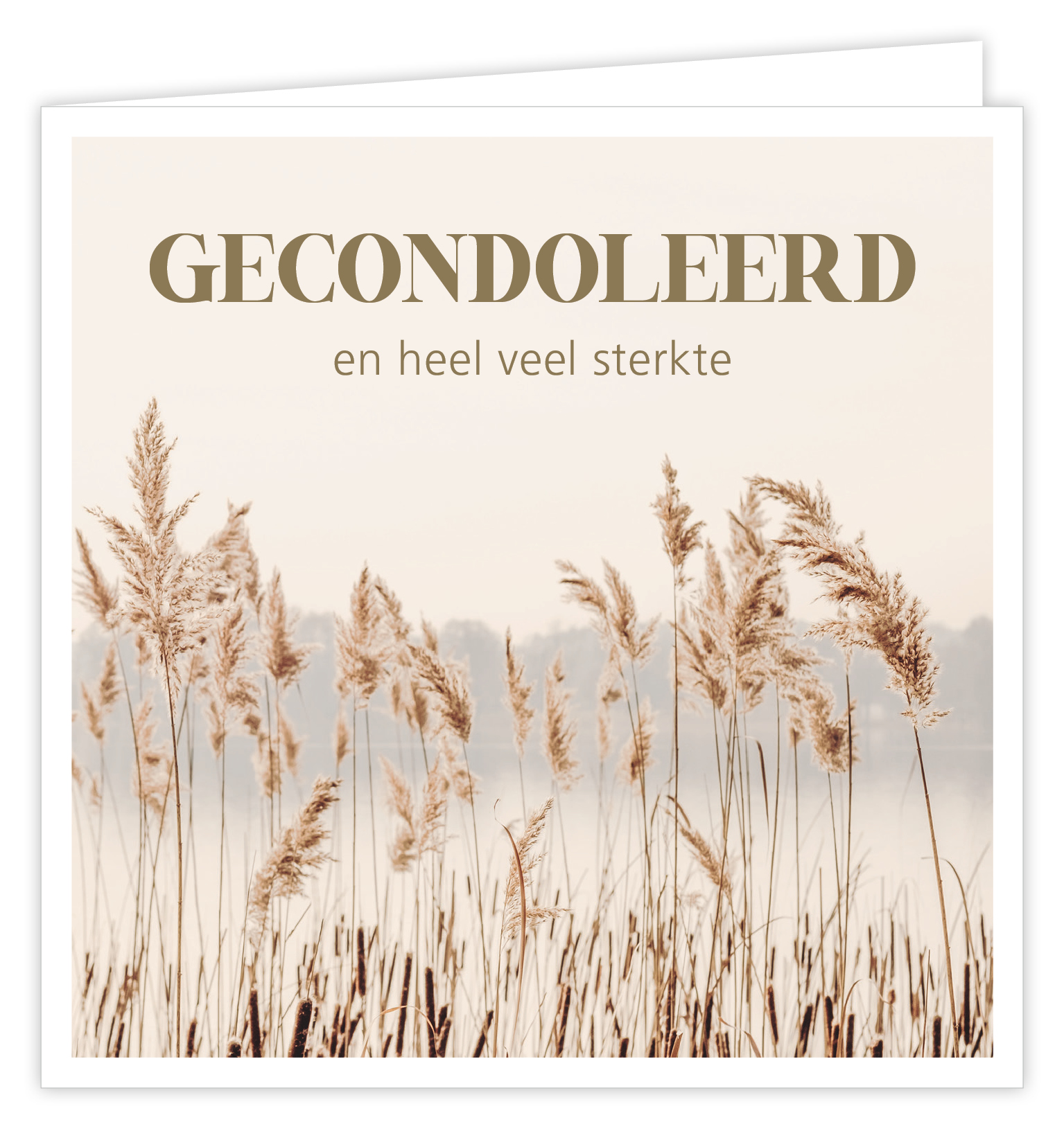 Gecondoleerd en heel veel sterkte