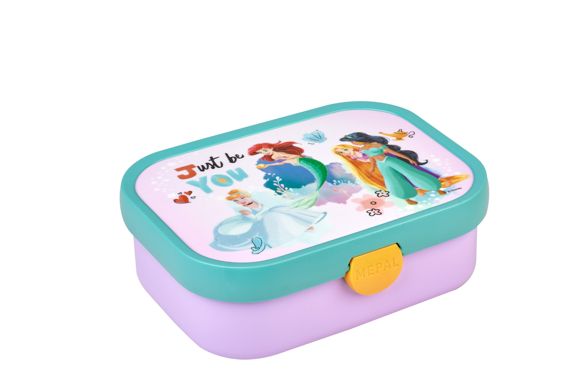 lunch box campus - disney princess