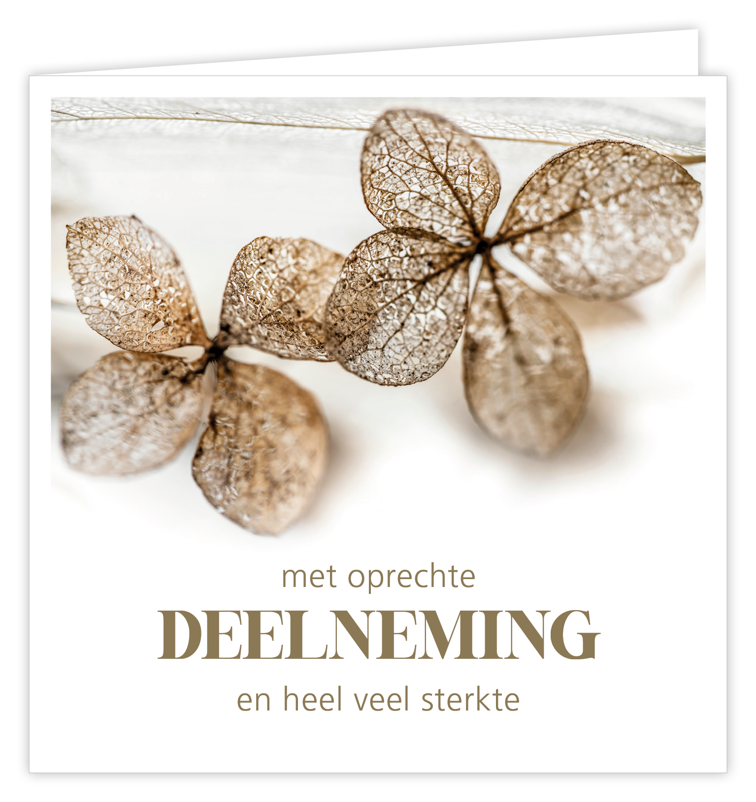 Met oprechte deelneming en heel veel sterkte