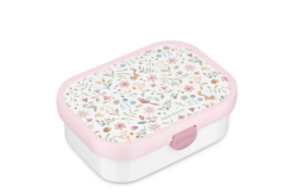 lunch box campus - fairy wonders
