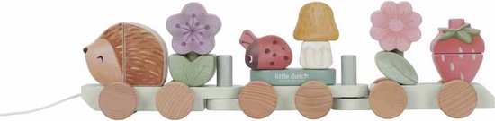 LD7335 Blokkentrein Egel Fairy