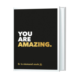 You are amazing