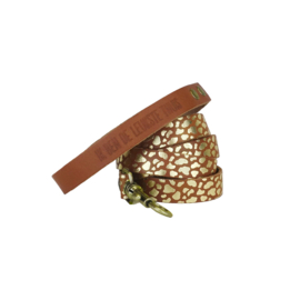 Honden - Riem