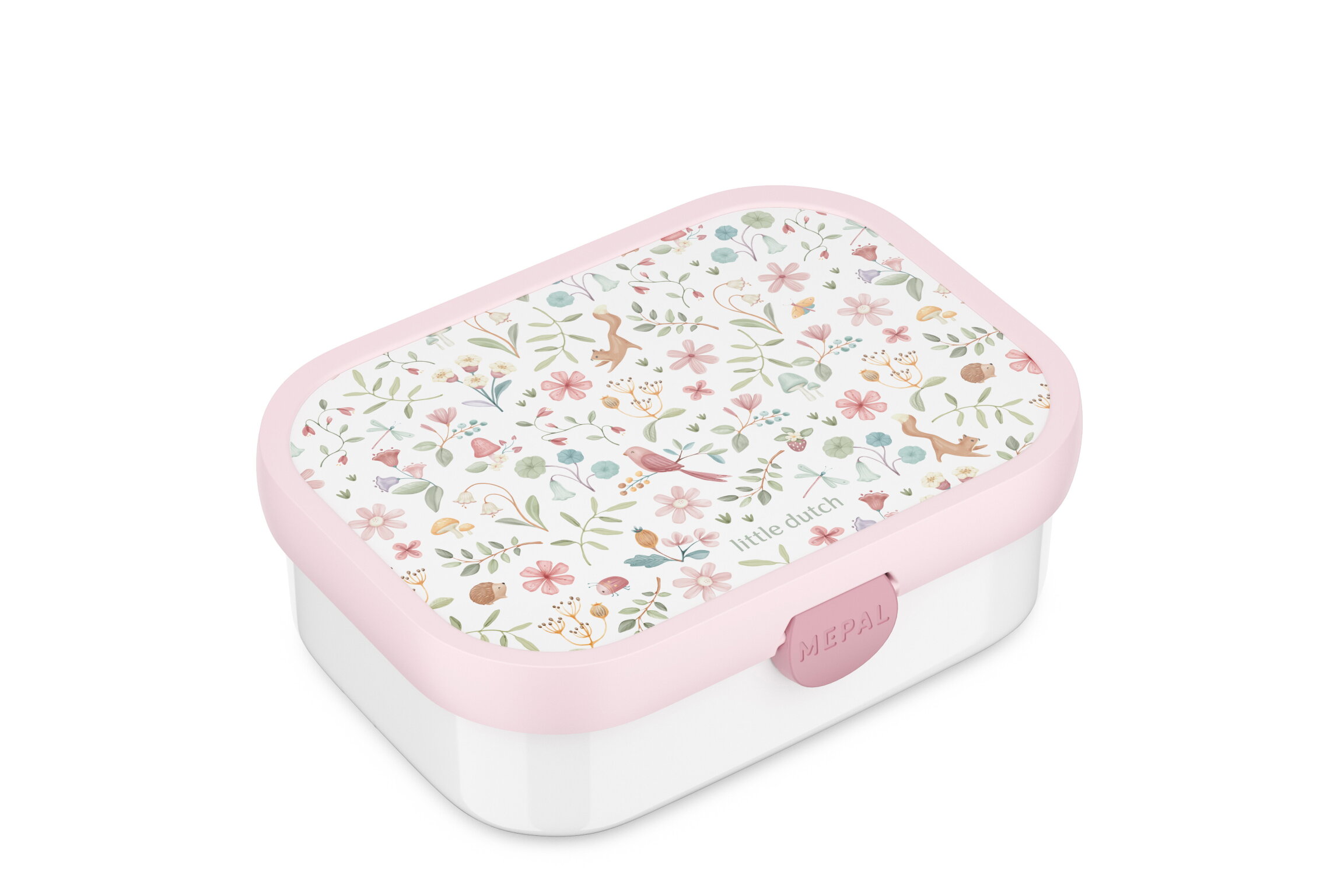 lunch box campus - fairy wonders