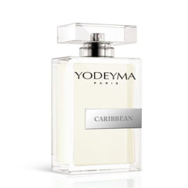 CARIBBEAN 100ml INSPIRED BY SAUVAGE