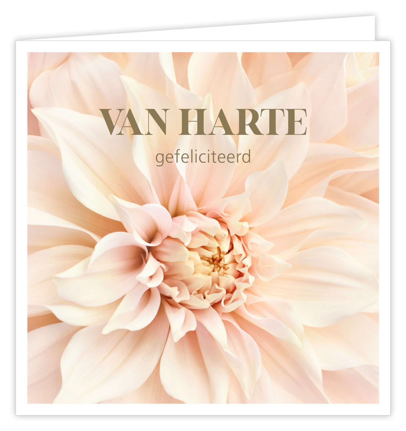 Van harte gefeliciteerd