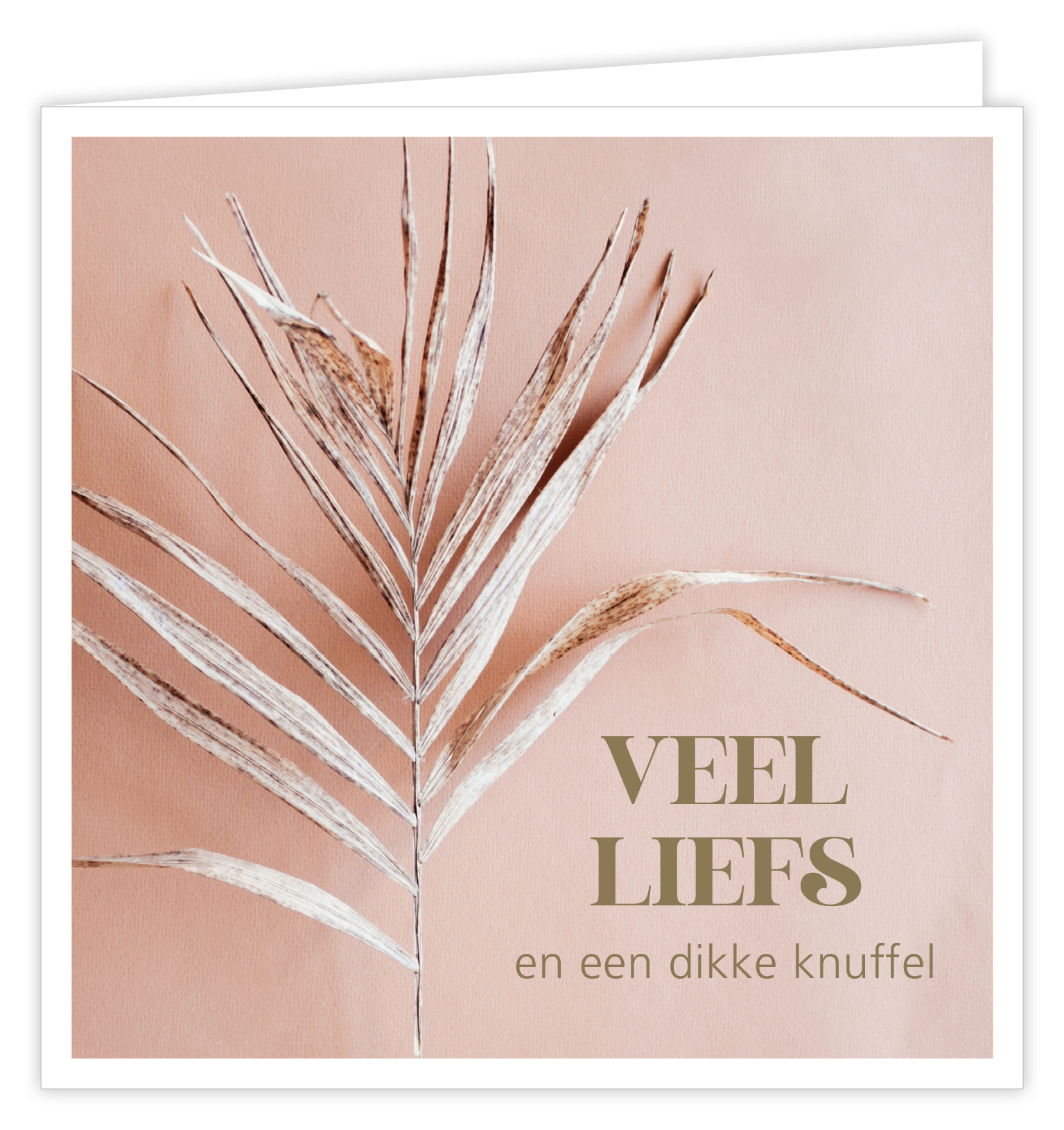 Veel liefs en een dikke knuffel