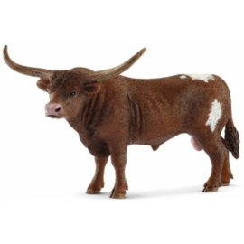 Texas Longhorn Stier