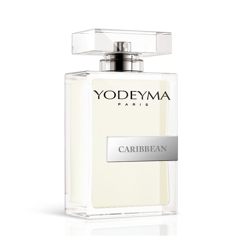 CARIBBEAN 100ml INSPIRED BY SAUVAGE