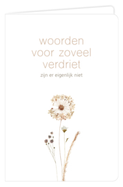 Woorden voor zoveel verdriet zijn er eigenlijk niet
