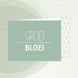 LVH 27 - GROEI en BLOEI