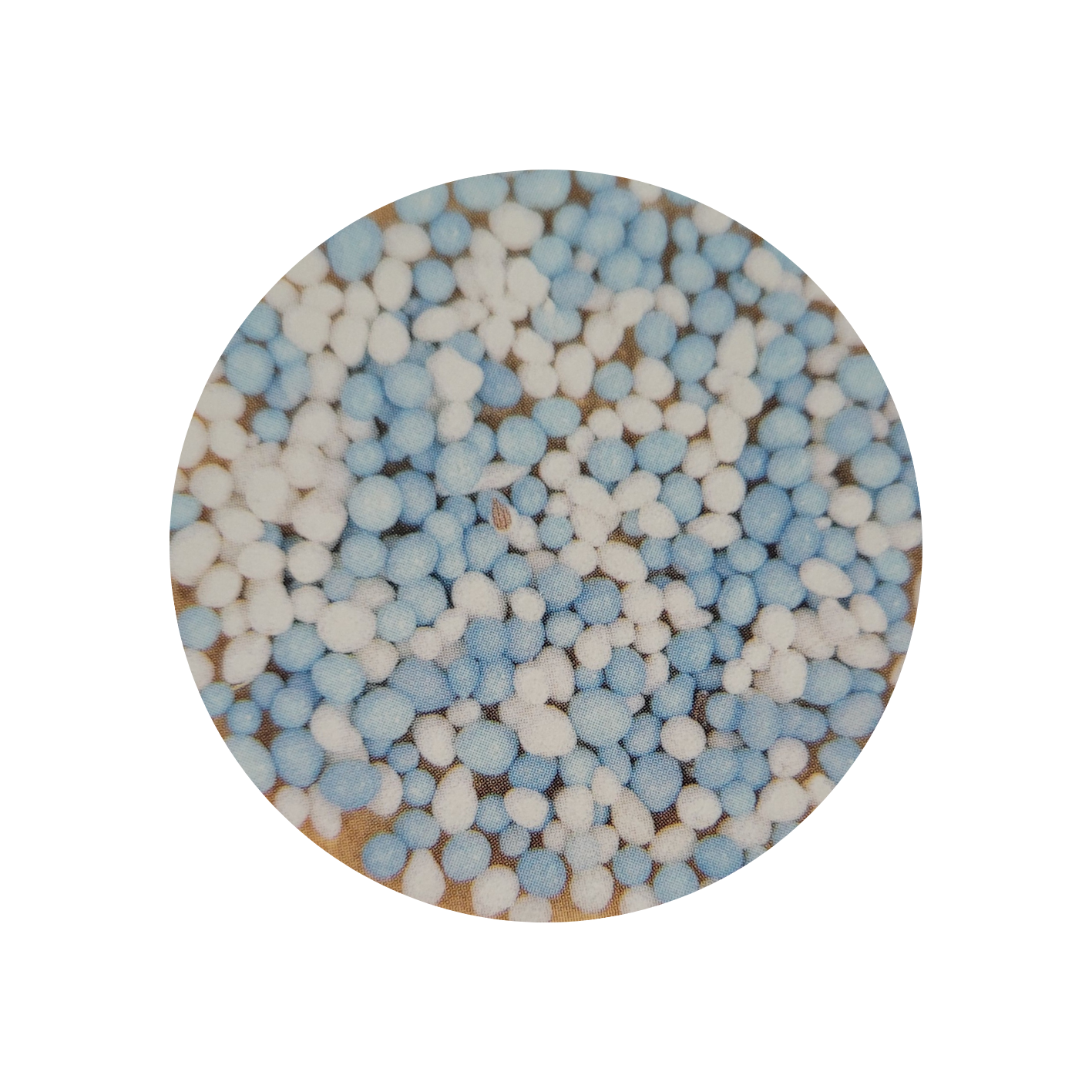 Sticker beschuit met muisjes blauw