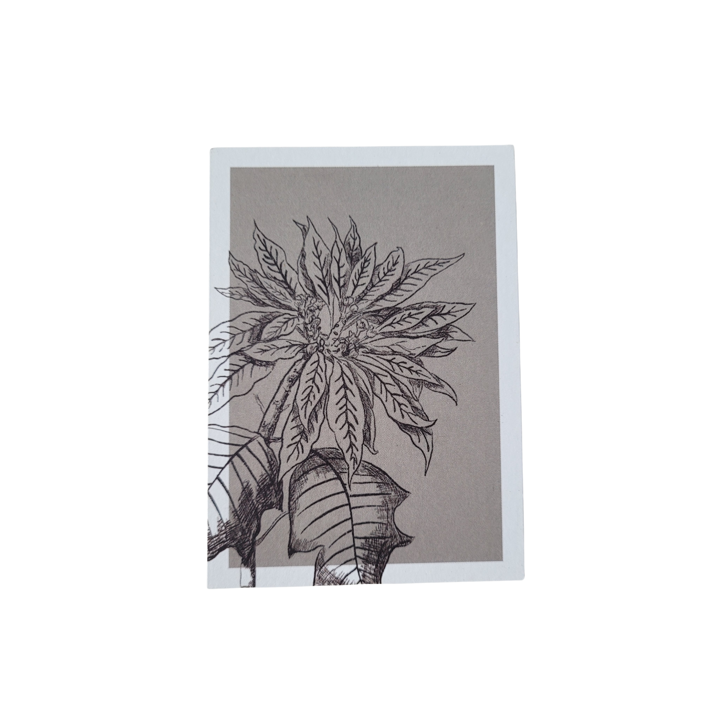 Mini kaart / label Kerstster
