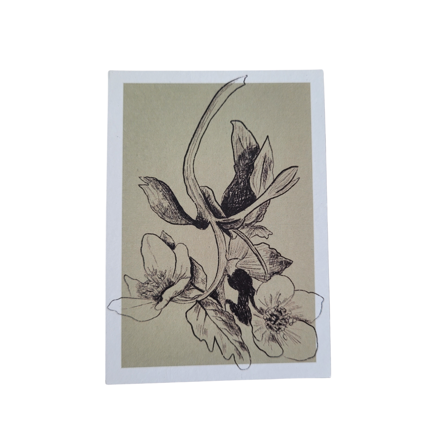 Mini kaart / label Bloemen