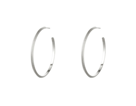 Earrings - Hoops Groot - Silver